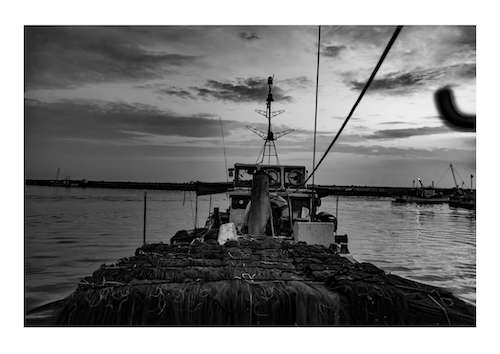 エドソウタの作品画像